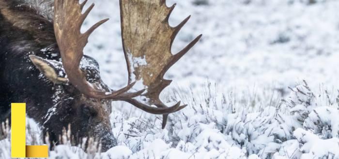 Recreation.gov - Apps on Google Play