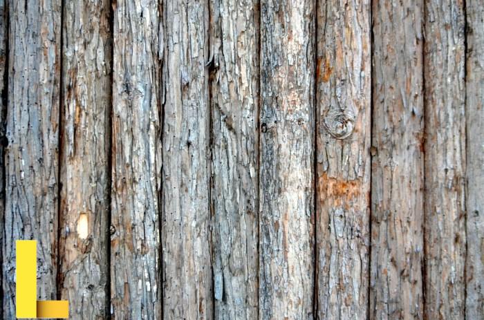 Wood Fence Free Stock Photo - Public Domain Pictures